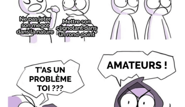 Encore dans certains TGV ça existe mais dans les TER...
