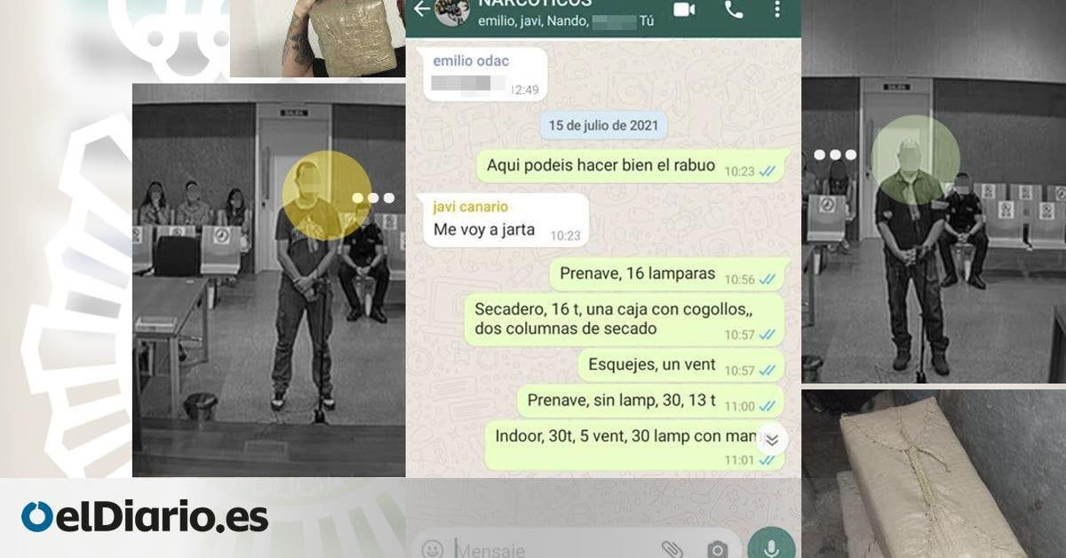 Procesado el Grupo Antidroga de la Policía Nacional en Mérida por "organización criminal"
