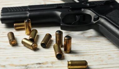 La policia retira la llicència d'armes a un home violent al qual se l'havia concedit 'per error'