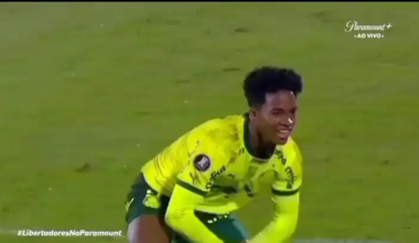 POV: Endrick has just scored a 94th-minute winner at the Metropolitano and does The King Kong celebration.