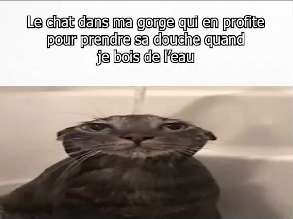 Il veut pas sortir