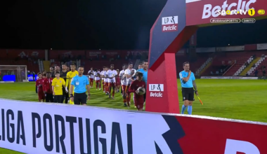 Equipa do AVS entra em campo com cães disponíveis para adoção 🐶