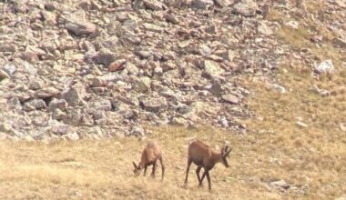 Hi han més articles avui -09/23/2024. Aqui estan tots els titulars que he trobat...