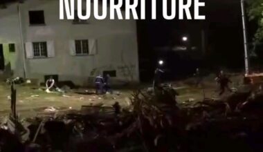 Des militants de la A69 ont été tazés, plaqués au sol et interpellés par des gendarmes lorsqu'ils ont amenés de la nourriture et de l'eau aux personnes dans les arbres