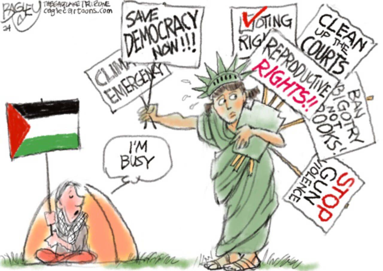 There are numerous political issues in America.