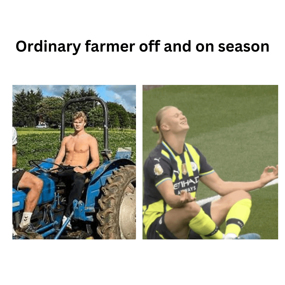 The real farmer