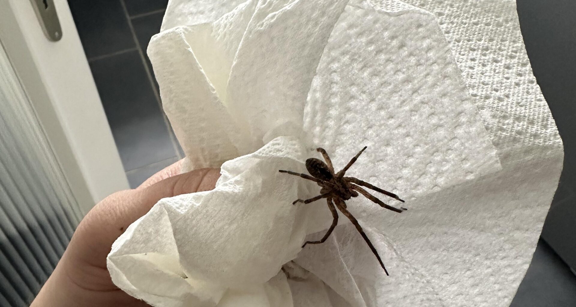 Kannste keinem erzählen was in mein Schlafzimmer rumgerannt ist