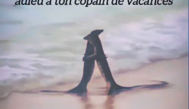 Gaëtan si tu lis ça : tu as été ma plus belle bromance.