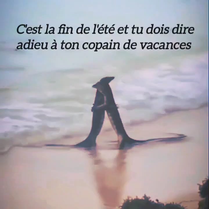 Gaëtan si tu lis ça : tu as été ma plus belle bromance.