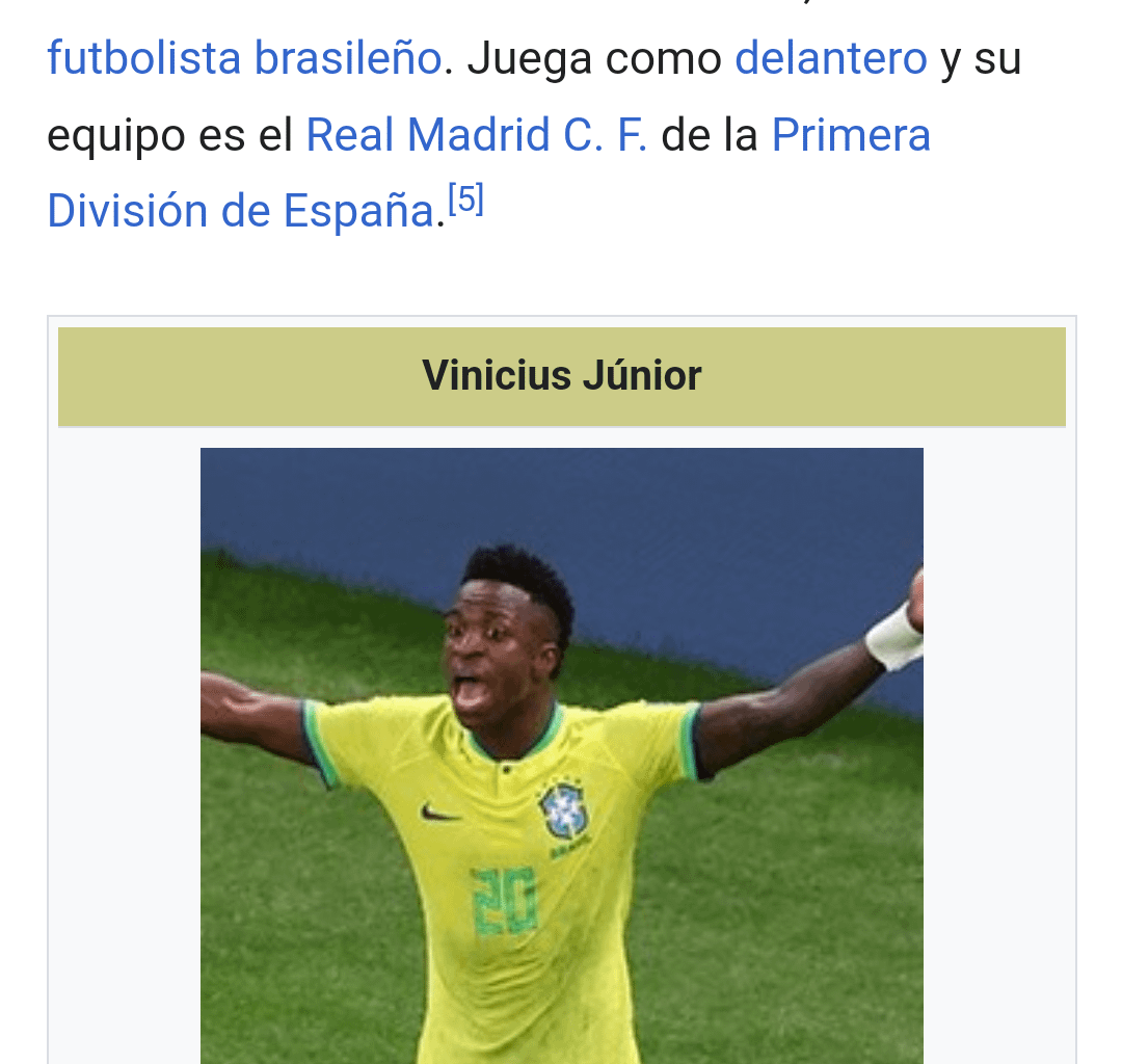 Vini's Spanish Wikipedia page is being tampered with