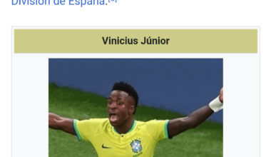 Vini's Spanish Wikipedia page is being tampered with