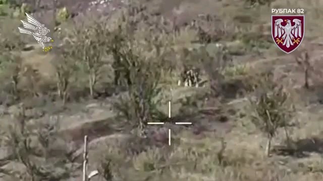 Ukrainian 82nd Air Assault Brigade's "Wild Division" drone team hit two Russian soldiers with a single FPV strike drone, unsing a drone type with airburst functionality.