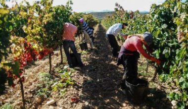 "Siguen obligándoles a trabajar con huesos rotos": los sindicatos alertan del riesgo de explotación a los migrantes circulares