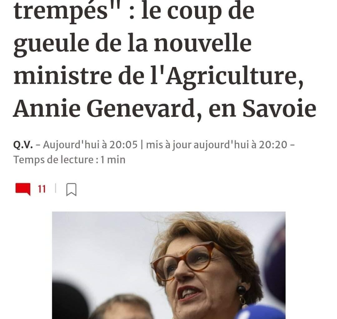 Les LR font du ski
