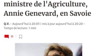 Les LR font du ski