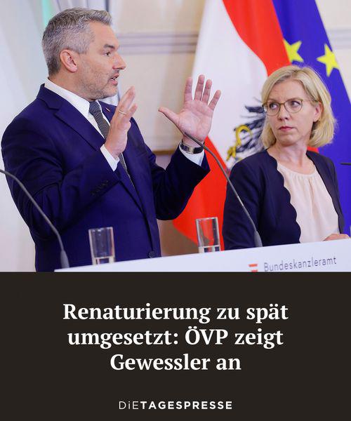 Die Grünen sind schuld!