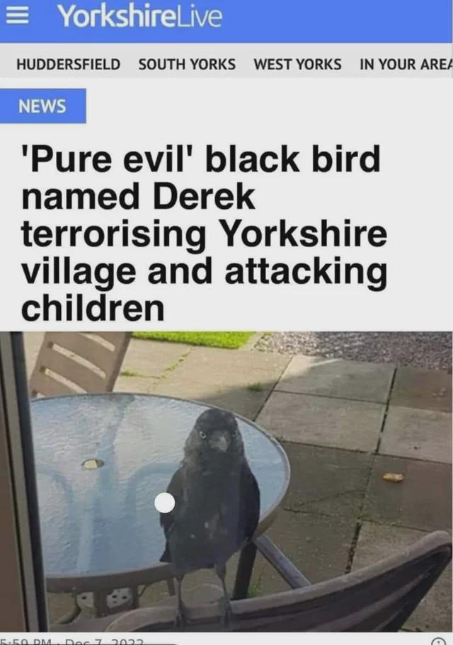 Derek