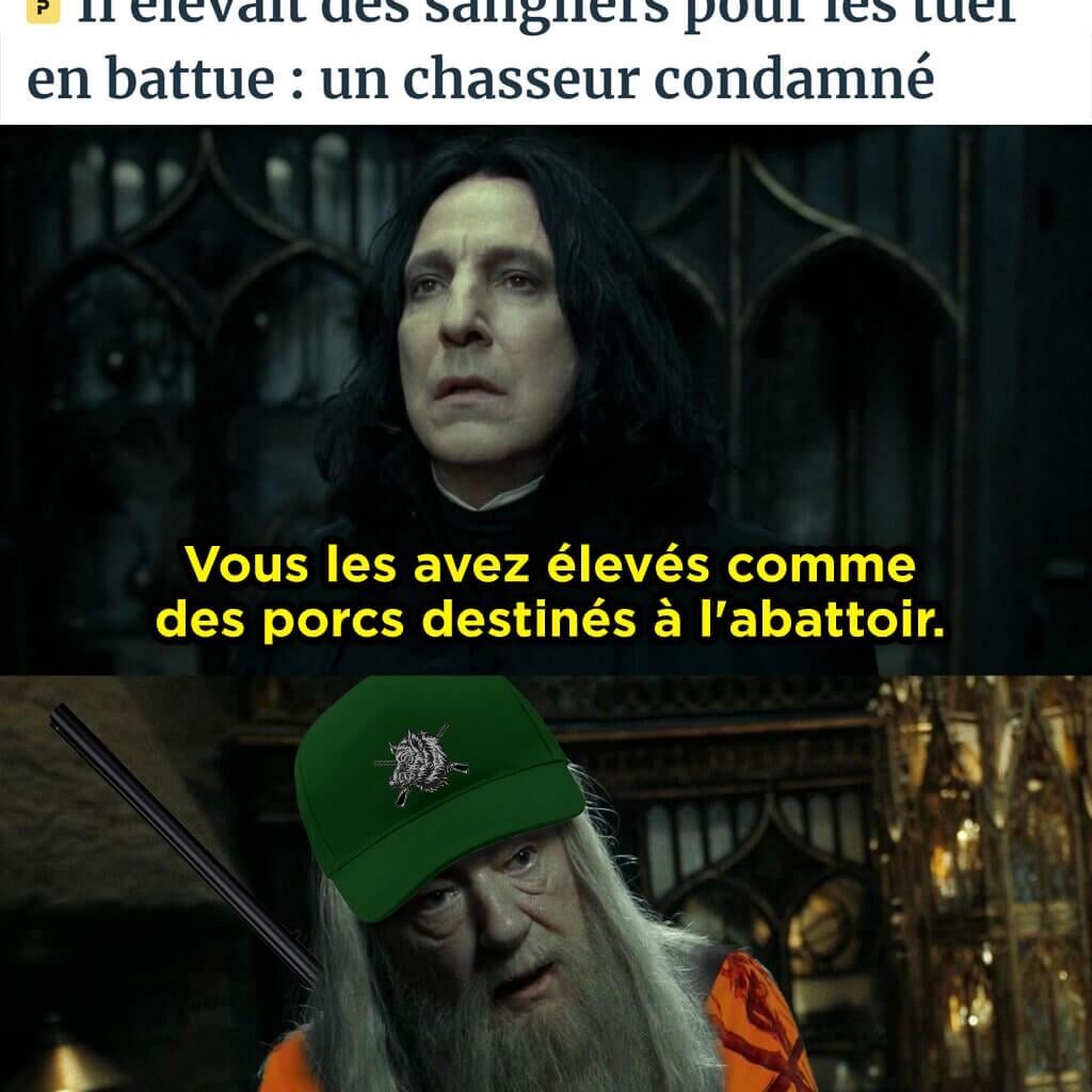 Sympa les reliques de la mort au dessus de la cheminée.