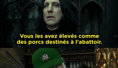 Sympa les reliques de la mort au dessus de la cheminée.