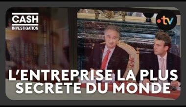 Emmanuel Macron : son lien avec des consultants de McKinsey, ce témoin raconte - Cash Investigation