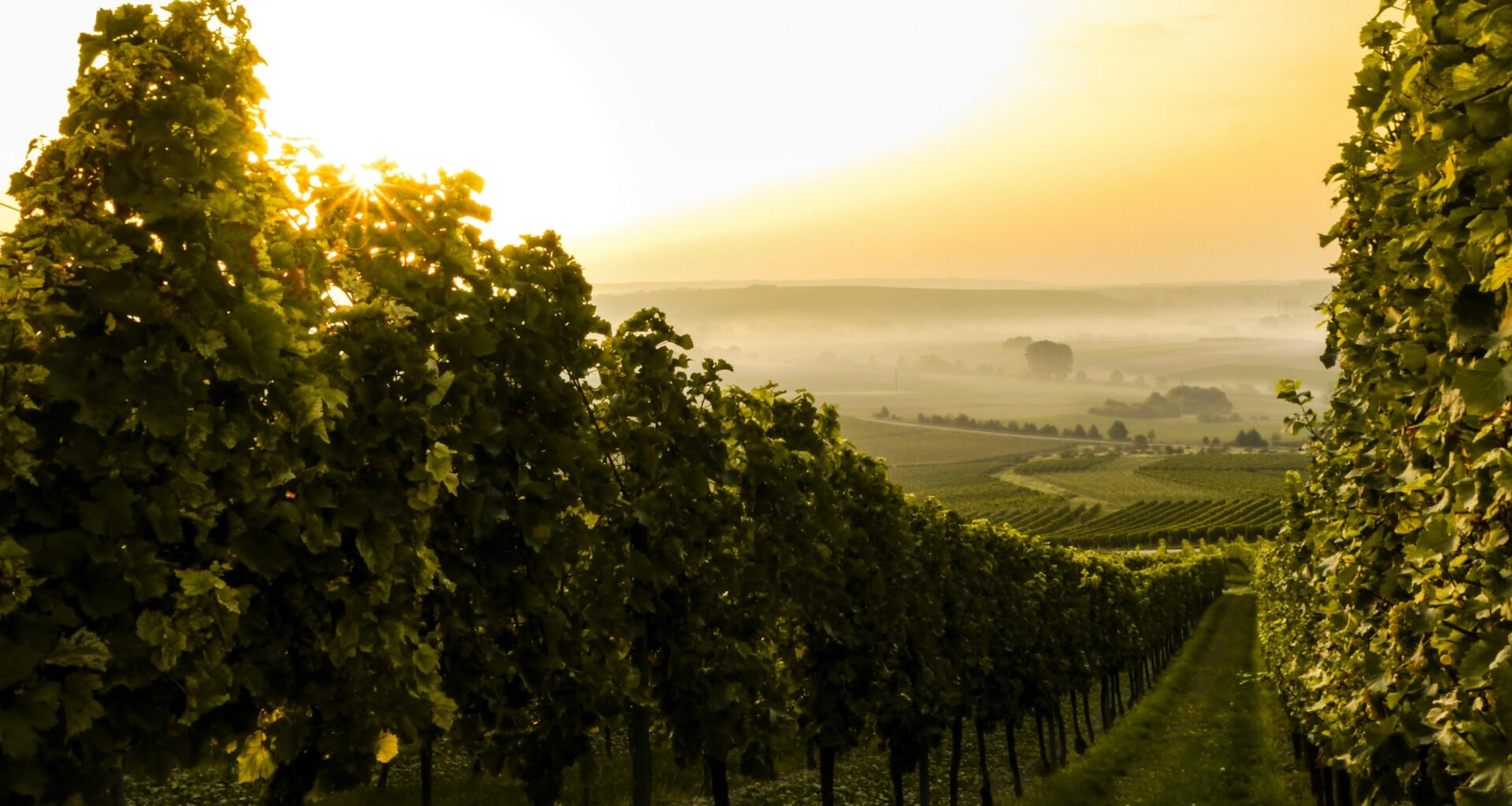 Jugenheim in Rheinhessen, Germany