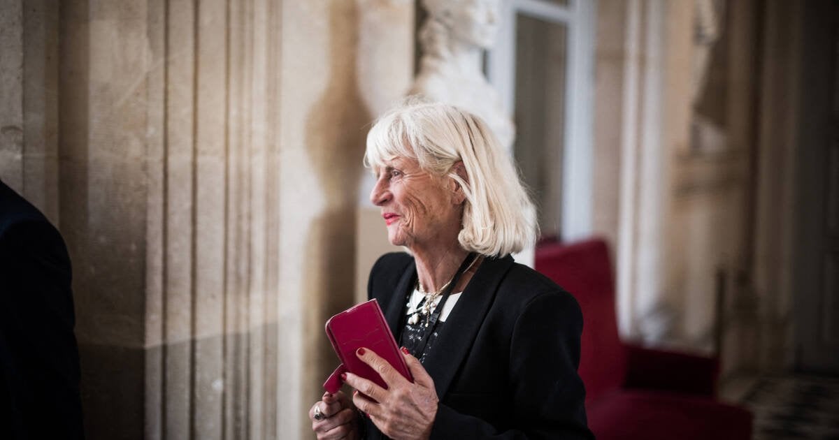 Gardiennage de ses chiens, site de rencontres et funérailles : la députée RN Christine Engrand a détourné des frais de mandat, selon Mediapart – Libération
