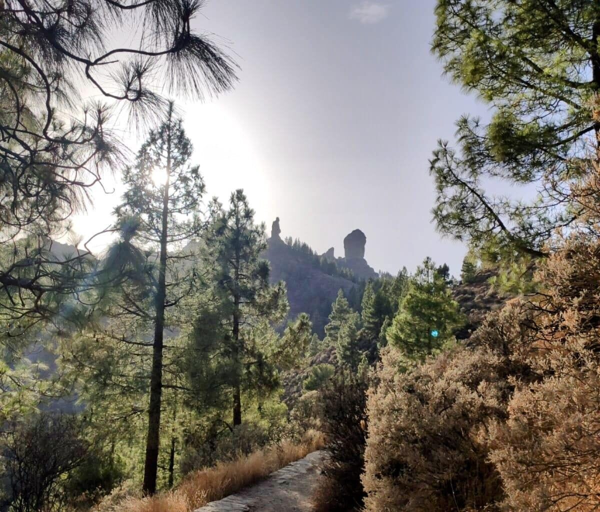 Vistas del Roque Nublo y Roque Monje ( Gran Canaria)