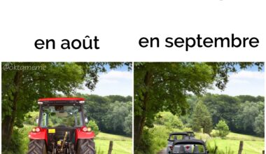 Scoot toujours