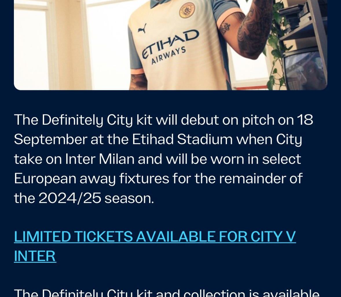 This kit will be worn in champs league games