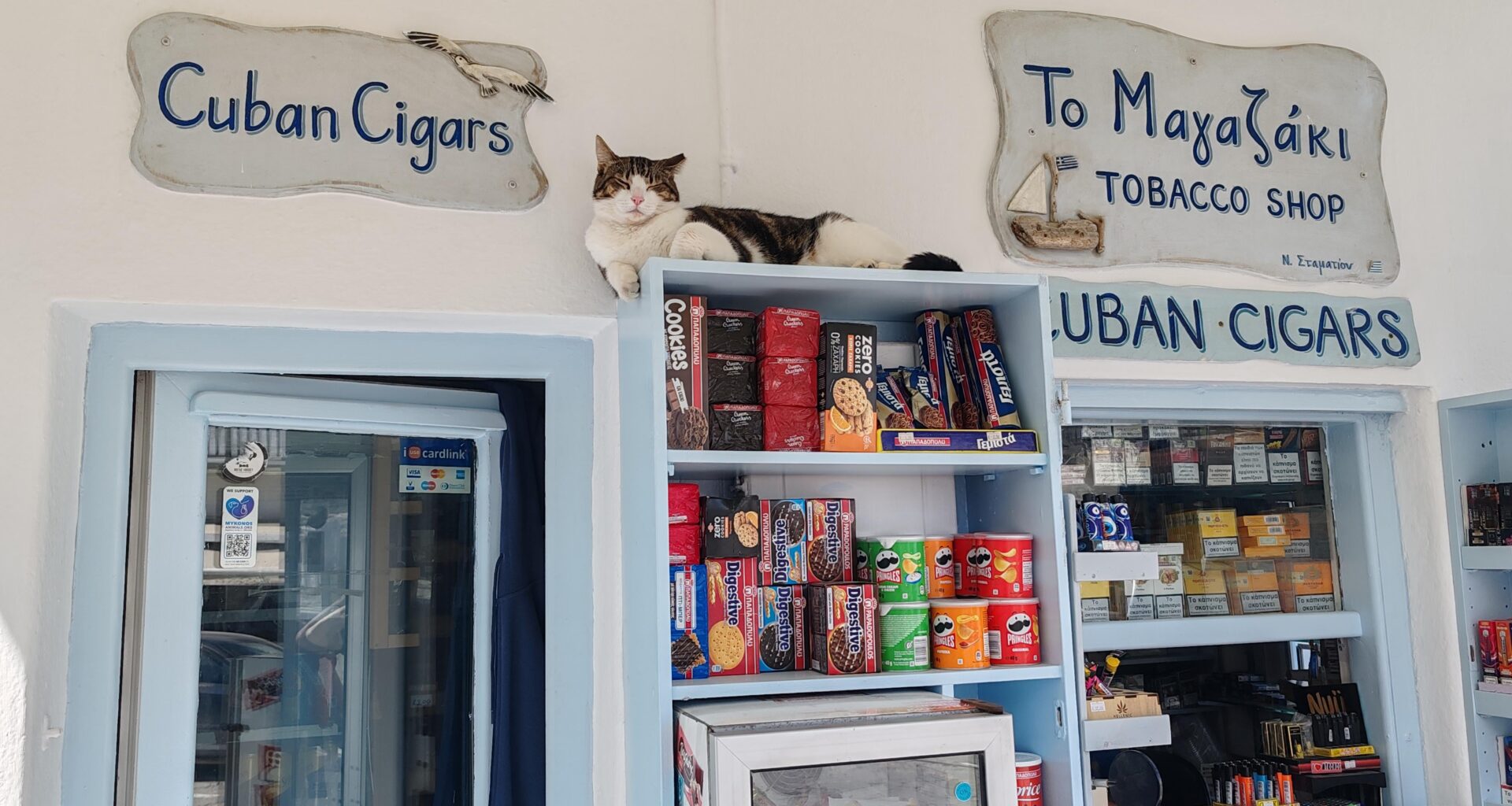 Cuban cigars and cat, Mykonos.