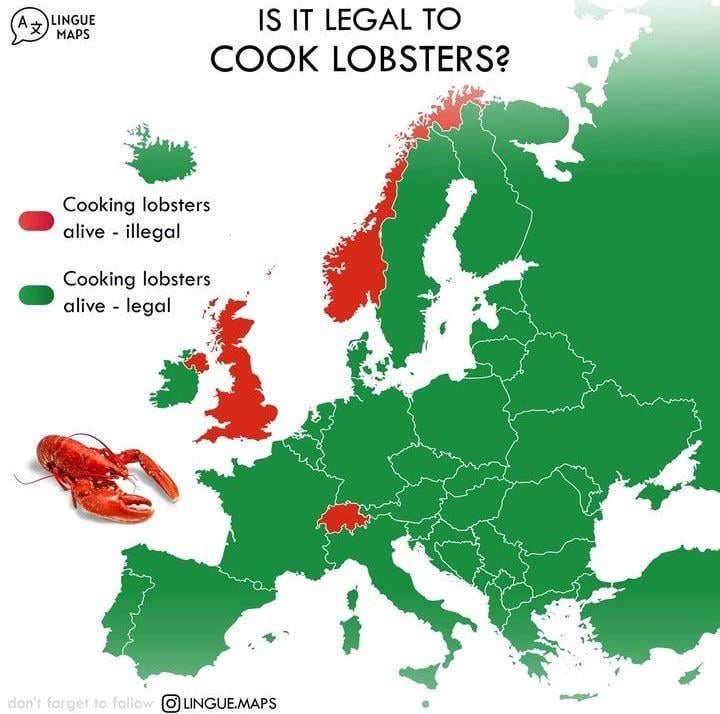 🇨🇭🤝🇳🇴🤝🦧