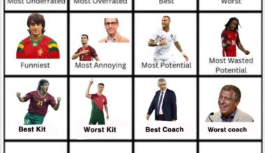 Mais uma vez, o povo é soberano e Fernando Santos leva também o pior treinador da história da seleção! Carlos Queiroz ainda ficou em segundo! Agora, qual foi o jogador que foi fantástico apenas uma "época"?