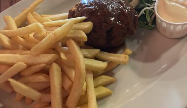Meatball and fries