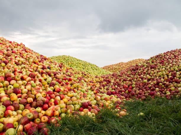 Well, what do we do with 13 Billion apples?