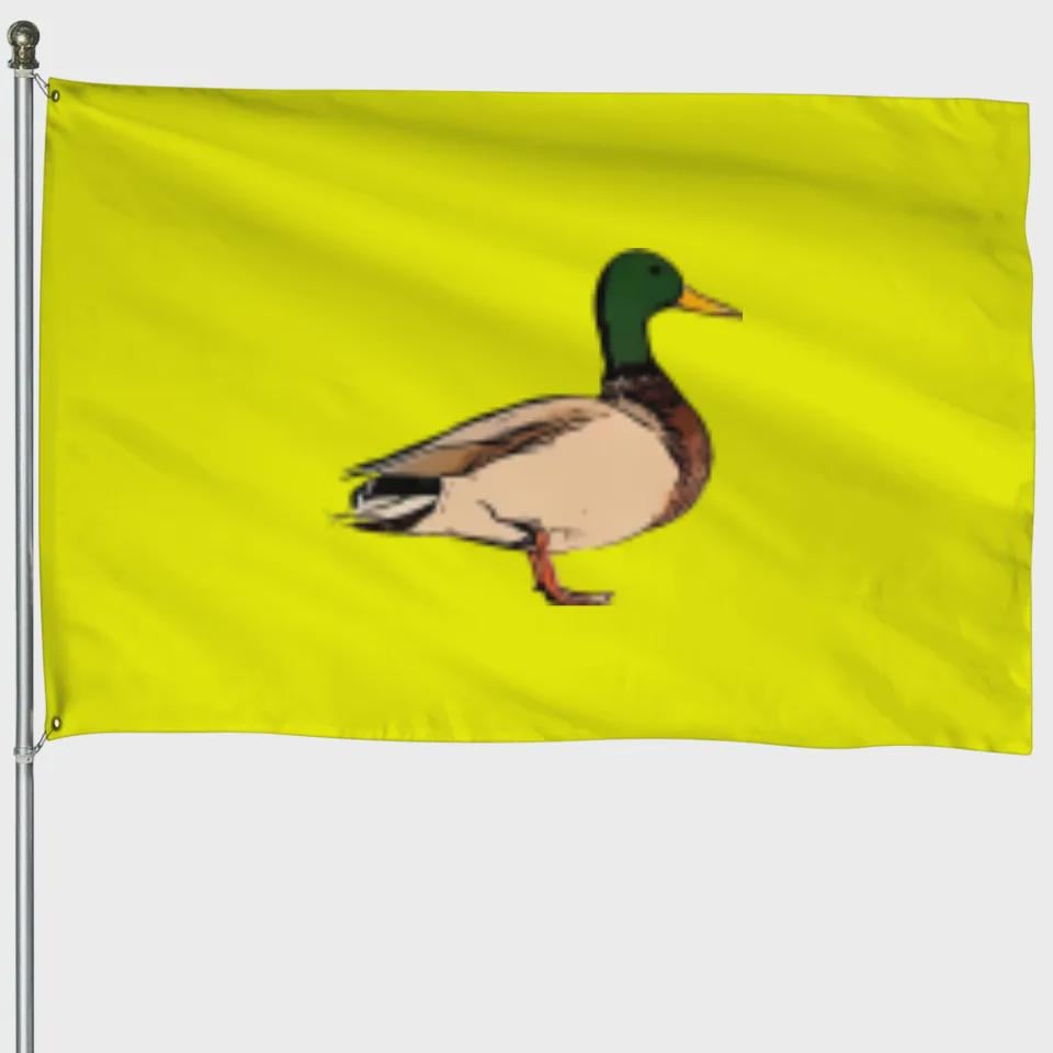 New flag for Northern Ireland?