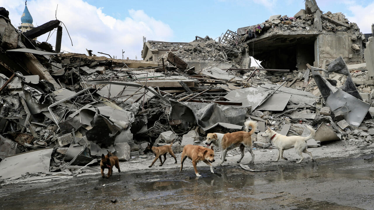 Nabatieh, une ville devenue fantôme après les bombardements israéliens