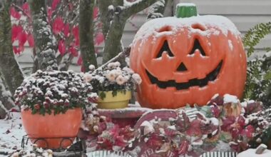 Michigan's Halloween weather: A look back at past temperatures | Science of Weather
