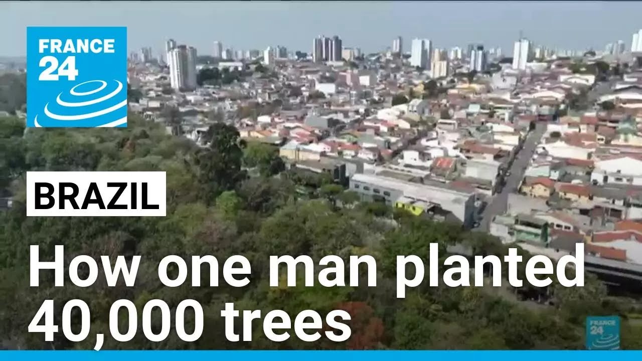 'Crazy' tree planter greening Sao Paulo concrete jungle • FRANCE 24 English