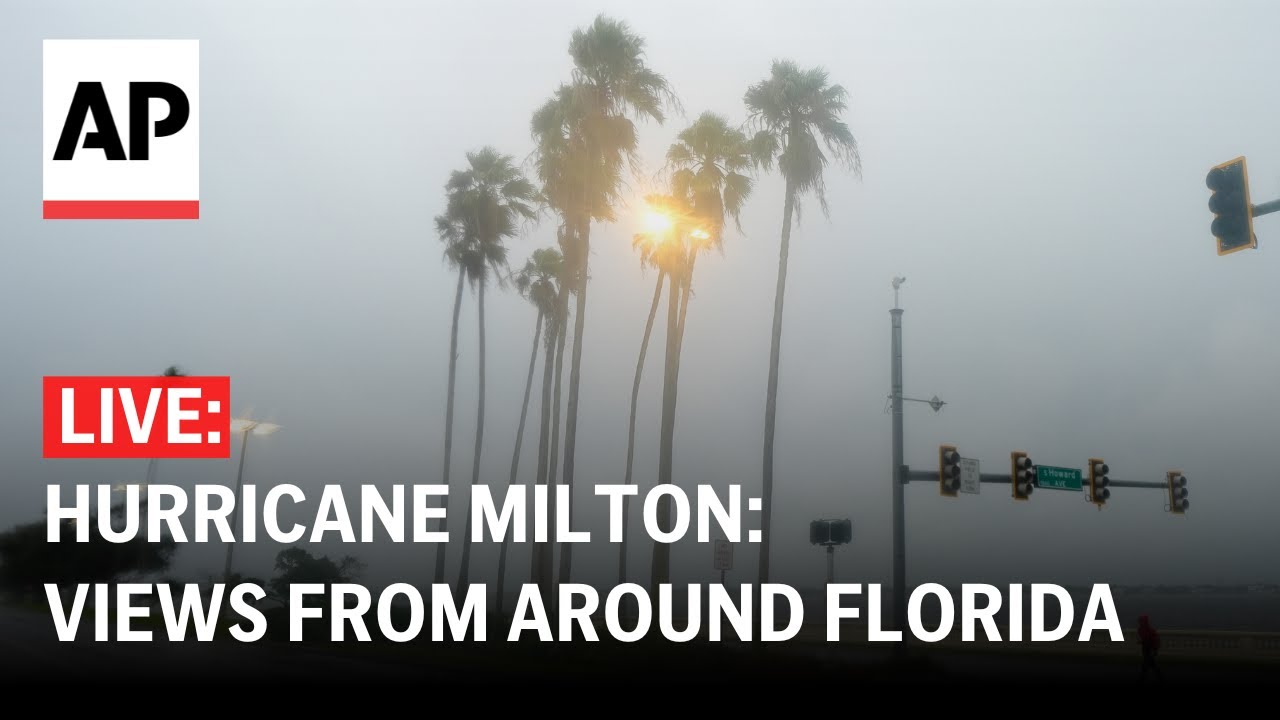 Hurricane Milton LIVE cam: Views from around Florida