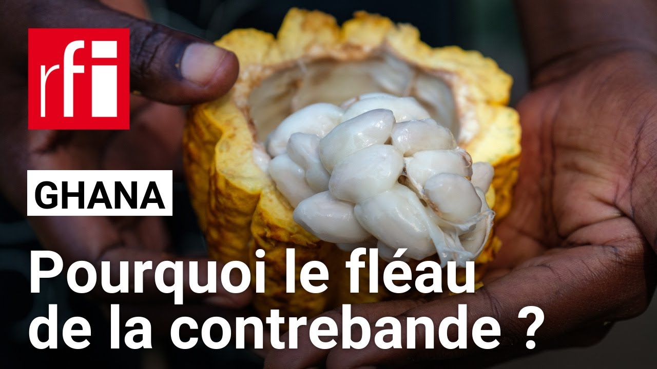 Ghana - Cacao : comment expliquer l'ampleur de la contrebande ? • RFI