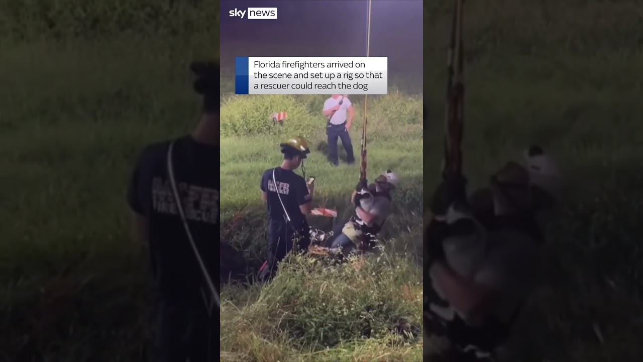 Florida firefighters rescue dog from cave