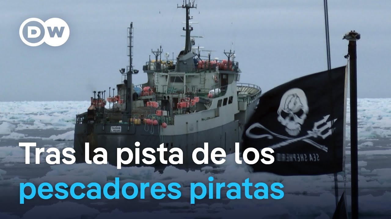 El difícil combate contra la explotación de los mares | DW Documental