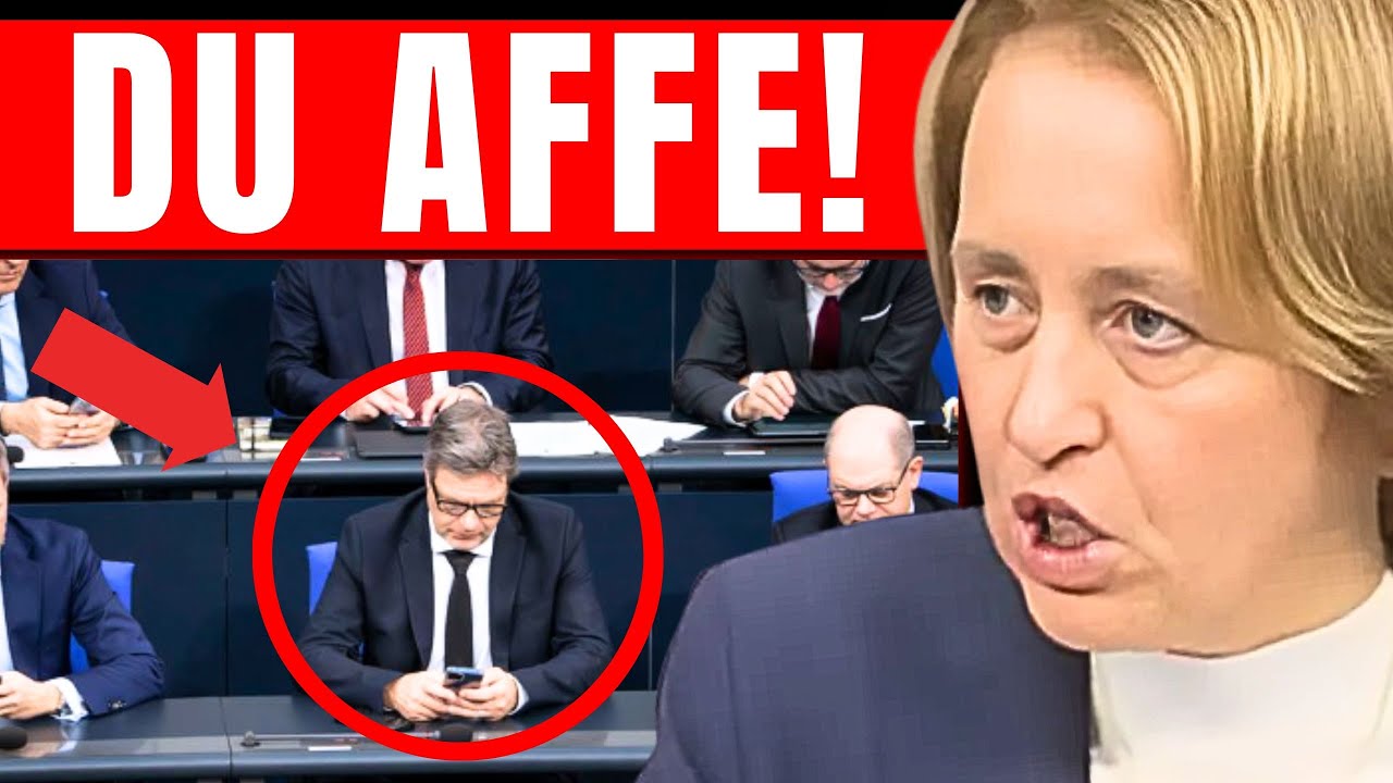 HABECK DU AFFE! 💥 HANDY FLIEGT DURCH DEN RAUM! 💥 BEI DIESER AFD REDE GEHT HABECK AN DIE DECKE!
