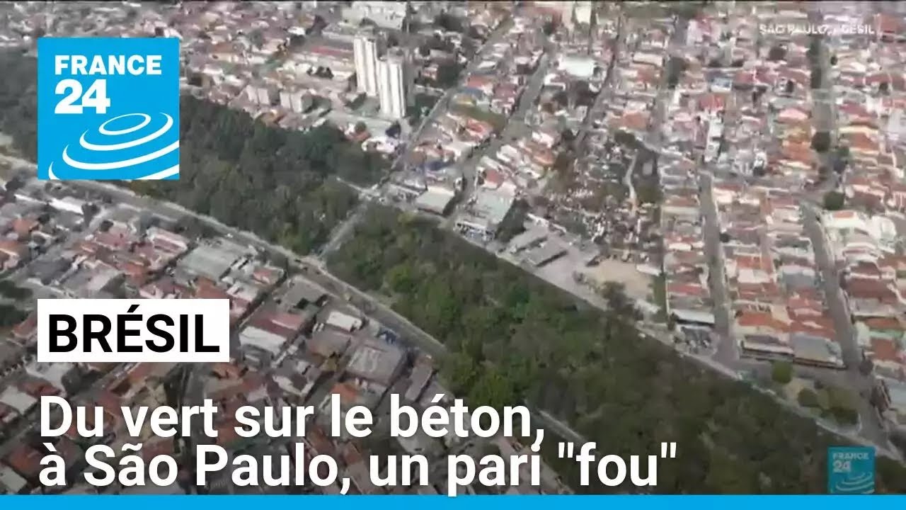 Brésil : du vert sur le béton, à São Paulo, un pari "fou" • FRANCE 24