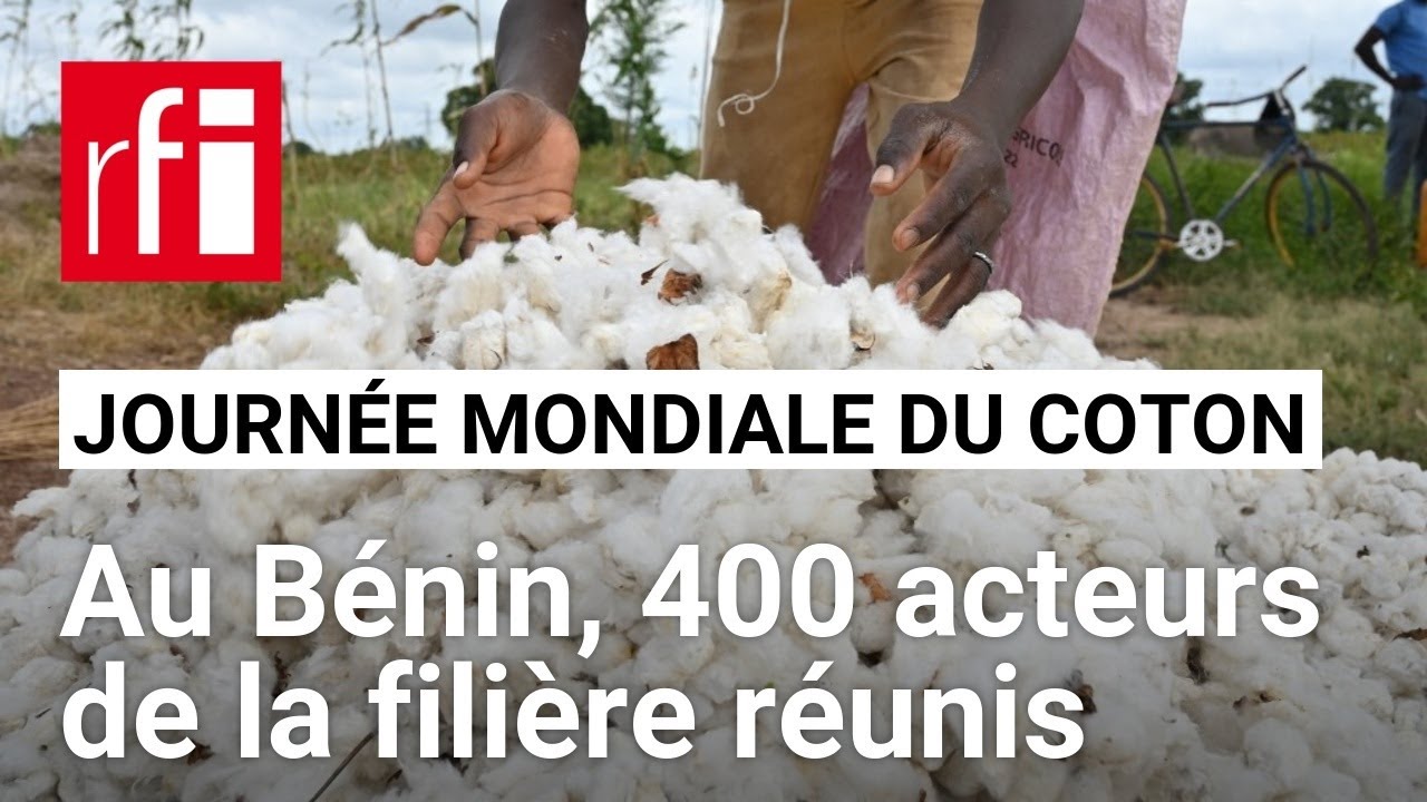 Au Bénin, 400 acteurs internationaux du coton réunis • RFI