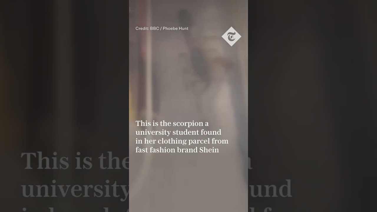 Deadly scorpion found crawling inside student’s parcel from Shein