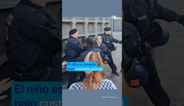 Policía alemana pone bajo custodia a un niño que llevaba bandera palestina “por su propia seguridad”
