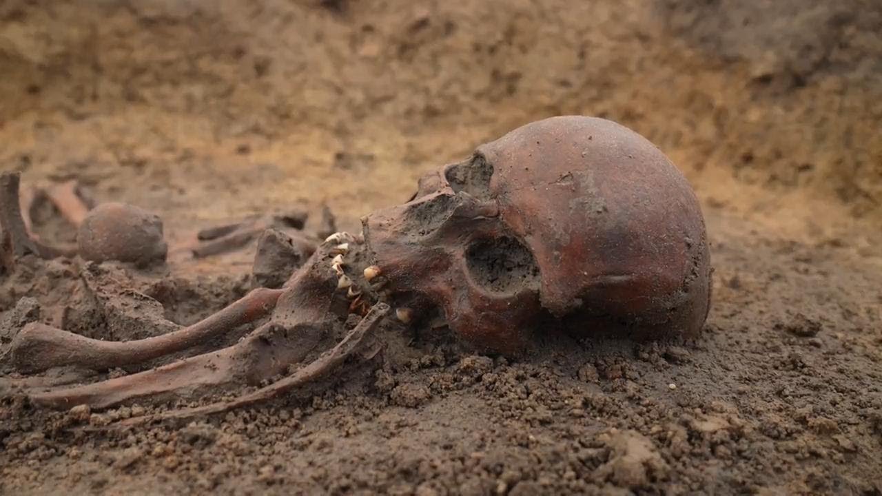 Fifty 'exceptionally well-preserved' skeletons unearthed at Danish Viking burial ground