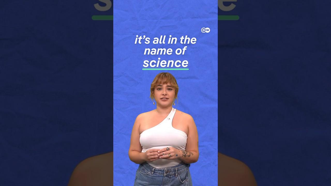 Sleeping with bedbugs in the name of science | DW Documentary