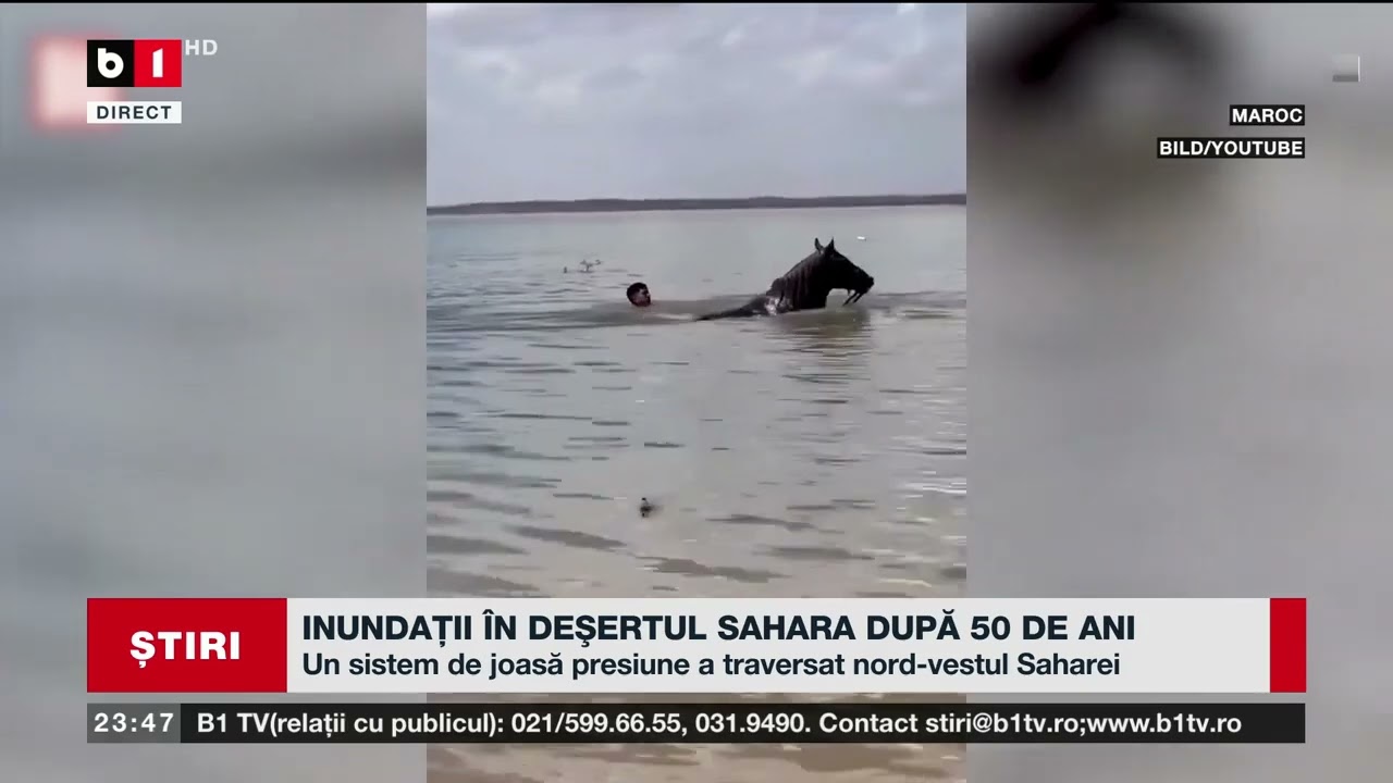 INUNDAȚII ÎN DEȘERTUL SAHARA DUPĂ 50 DE ANI. Știri B1TV_17 oct. 2024